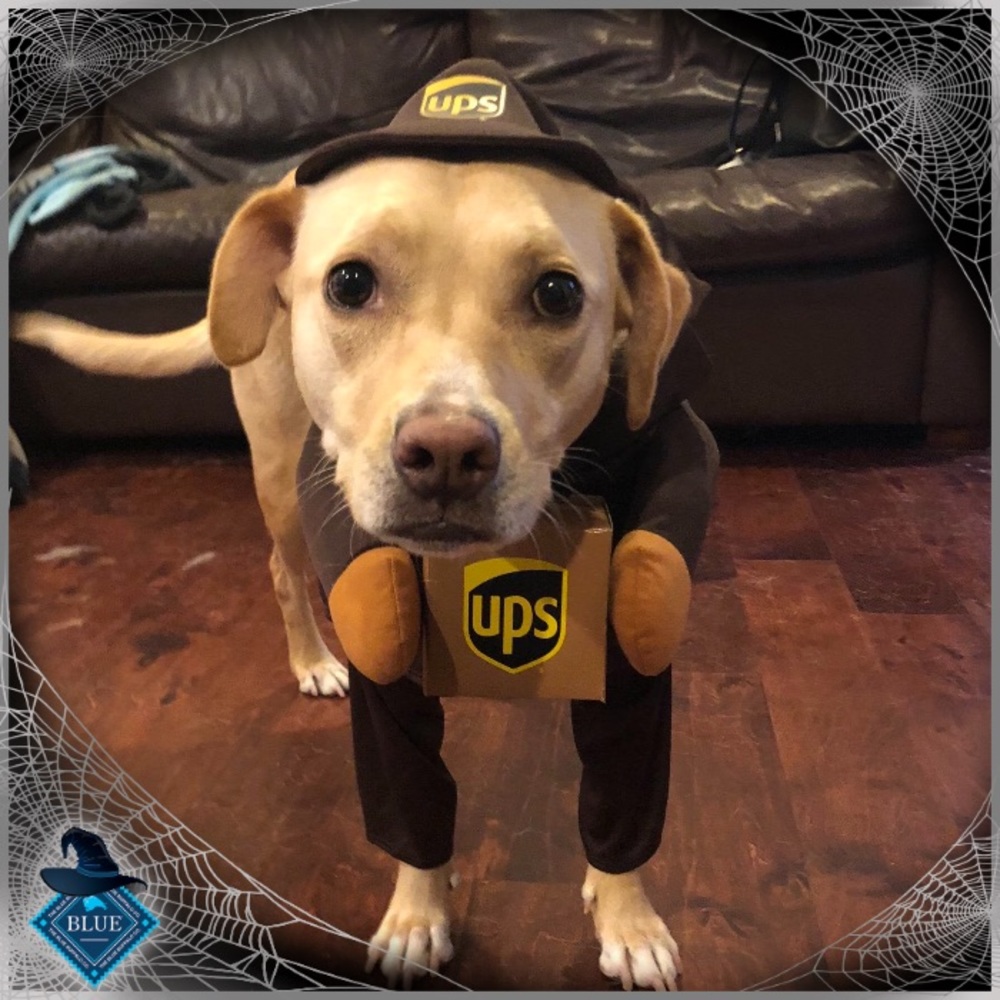 We ship fast!